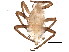  ( - BIOUG04220-G10)  @12 [ ] CreativeCommons - Attribution (2012) CBG Photography Group Centre for Biodiversity Genomics