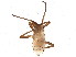  ( - BIOUG04220-G12)  @12 [ ] CreativeCommons - Attribution (2012) CBG Photography Group Centre for Biodiversity Genomics