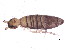  ( - BIOUG04295-D07)  @14 [ ] CreativeCommons - Attribution (2013) CBG Photography Group Centre for Biodiversity Genomics