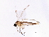  ( - BIOUG04269-H01)  @13 [ ] CreativeCommons - Attribution (2014) CBG Photography Group Centre for Biodiversity Genomics