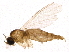  ( - BIOUG04296-G04)  @12 [ ] CreativeCommons - Attribution (2014) CBG Photography Group Centre for Biodiversity Genomics