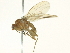  ( - BIOUG04505-A07)  @13 [ ] CreativeCommons - Attribution (2013) CBG Photography Group Centre for Biodiversity Genomics