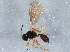  ( - BIOUG04270-F10)  @13 [ ] CreativeCommons - Attribution (2013) CBG Photography Group Centre for Biodiversity Genomics