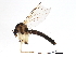  ( - BIOUG04259-E12)  @13 [ ] CreativeCommons - Attribution (2013) CBG Photography Group Centre for Biodiversity Genomics