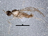  ( - BIOUG04366-C08)  @12 [ ] CreativeCommons - Attribution (2013) CBG Photography Group Centre for Biodiversity Genomics