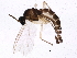  ( - BIOUG04362-G09)  @13 [ ] CreativeCommons - Attribution (2013) CBG Photography Group Centre for Biodiversity Genomics