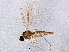  ( - BIOUG04366-F12)  @13 [ ] CreativeCommons - Attribution (2013) CBG Photography Group Centre for Biodiversity Genomics