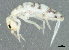  ( - BIOUG04365-G04)  @15 [ ] CreativeCommons - Attribution (2013) CBG Photography Group Centre for Biodiversity Genomics