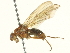  ( - BIOUG04507-C08)  @13 [ ] CreativeCommons - Attribution (2013) CBG Photography Group Centre for Biodiversity Genomics