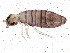  ( - BIOUG04439-B07)  @15 [ ] CreativeCommons - Attribution (2013) CBG Photography Group Centre for Biodiversity Genomics