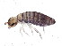  ( - BIOUG04439-E07)  @14 [ ] CreativeCommons - Attribution (2013) CBG Photography Group Centre for Biodiversity Genomics