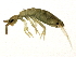  ( - BIOUG04088-C04)  @15 [ ] CreativeCommons - Attribution (2013) CBG Photography Group Centre for Biodiversity Genomics
