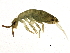  ( - BIOUG04088-C06)  @15 [ ] CreativeCommons - Attribution (2013) CBG Photography Group Centre for Biodiversity Genomics