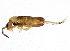  ( - BIOUG04502-C03)  @14 [ ] CreativeCommons - Attribution (2013) CBG Photography Group Centre for Biodiversity Genomics