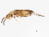  ( - BIOUG04503-D06)  @15 [ ] CreativeCommons - Attribution (2013) CBG Photography Group Centre for Biodiversity Genomics