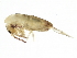  ( - BIOUG04500-B09)  @14 [ ] CreativeCommons - Attribution (2013) CBG Photography Group Centre for Biodiversity Genomics
