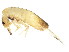  ( - BIOUG04501-G08)  @14 [ ] CreativeCommons - Attribution (2013) CBG Photography Group Centre for Biodiversity Genomics