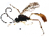  ( - BIOUG20994-A08)  @12 [ ] CreativeCommons - Attribution (2016) CBG Photography Group Centre for Biodiversity Genomics