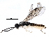  ( - BIOUG20994-B01)  @12 [ ] CreativeCommons - Attribution (2016) CBG Photography Group Centre for Biodiversity Genomics
