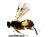  ( - BIOUG21307-F05)  @14 [ ] CreativeCommons - Attribution (2016) CBG Photography Group Centre for Biodiversity Genomics