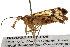  ( - BIOUG21311-F05)  @14 [ ] CreativeCommons - Attribution (2015) CBG Photography Group Centre for Biodiversity Genomics