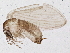  ( - BIOUG05014-A01)  @13 [ ] CreativeCommons - Attribution (2013) CBG Photography Group Centre for Biodiversity Genomics