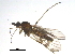  ( - BIOUG04992-H10)  @13 [ ] CreativeCommons - Attribution (2013) CBG Photography Group Centre for Biodiversity Genomics