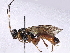  ( - BIOUG56830-E04)  @11 [ ] CreativeCommons - Attribution (2023) CBG Photography Group Centre for Biodiversity Genomics