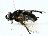  ( - BIOUG62308-H05)  @11 [ ] CreativeCommons - Attribution (2022) CBG Photography Group Centre for Biodiversity Genomics