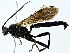  ( - BIOUG62309-C11)  @11 [ ] CreativeCommons - Attribution (2022) CBG Photography Group Centre for Biodiversity Genomics