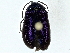  ( - BIOUG62309-F11)  @11 [ ] CreativeCommons - Attribution (2022) CBG Photography Group Centre for Biodiversity Genomics