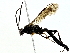  ( - BIOUG62716-B02)  @11 [ ] CreativeCommons - Attribution (2022) CBG Photography Group Centre for Biodiversity Genomics