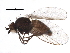  ( - BIOUG07712-C12)  @15 [ ] CreativeCommons - Attribution (2015) CBG Photography Group Centre for Biodiversity Genomics