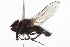  ( - BIOUG07714-B02)  @12 [ ] CreativeCommons - Attribution (2013) CBG Photography Group Centre for Biodiversity Genomics