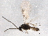  ( - BIOUG07716-B07)  @12 [ ] CreativeCommons - Attribution (2013) CBG Photography Group Centre for Biodiversity Genomics