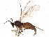  ( - BIOUG07734-C09)  @13 [ ] CreativeCommons - Attribution (2015) CBG Photography Group Centre for Biodiversity Genomics