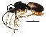  ( - BIOUG07716-G03)  @13 [ ] CreativeCommons - Attribution (2015) CBG Photography Group Centre for Biodiversity Genomics
