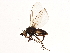  ( - BIOUG07824-H02)  @13 [ ] CreativeCommons - Attribution (2013) CBG Photography Group Centre for Biodiversity Genomics