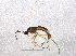  ( - BIOUG07825-E02)  @12 [ ] CreativeCommons - Attribution (2013) CBG Photography Group Centre for Biodiversity Genomics