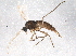  ( - BIOUG07829-C03)  @13 [ ] CreativeCommons - Attribution (2013) CBG Photography Group Centre for Biodiversity Genomics