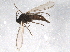  ( - BIOUG07852-F05)  @13 [ ] CreativeCommons - Attribution (2013) CBG Photography Group Centre for Biodiversity Genomics