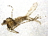  ( - BIOUG07888-C12)  @13 [ ] CreativeCommons - Attribution (2013) CBG Photography Group Centre for Biodiversity Genomics