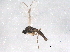  ( - BIOUG06877-G01)  @12 [ ] CreativeCommons - Attribution (2013) CBG Photography Group Centre for Biodiversity Genomics