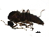  ( - BIOUG09109-G04)  @12 [ ] CreativeCommons - Attribution (2015) CBG Photography Group Centre for Biodiversity Genomics