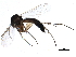  ( - BIOUG15482-G05)  @13 [ ] CreativeCommons - Attribution (2015) CBG Photography Group Centre for Biodiversity Genomics