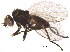  ( - BIOUG15977-D04)  @13 [ ] CreativeCommons - Attribution (2015) CBG Photography Group Centre for Biodiversity Genomics