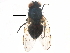  (Silba - BIOUG16213-E04)  @13 [ ] CreativeCommons - Attribution (2015) CBG Photography Group Centre for Biodiversity Genomics