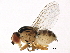  ( - BIOUG16268-B03)  @13 [ ] CreativeCommons - Attribution (2015) CBG Photography Group Centre for Biodiversity Genomics