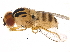  ( - BIOUG16278-D02)  @13 [ ] CreativeCommons - Attribution (2015) CBG Photography Group Centre for Biodiversity Genomics