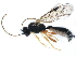  ( - BIOUG16897-A10)  @14 [ ] CreativeCommons - Attribution (2015) CBG Photography Group Centre for Biodiversity Genomics